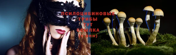 твердый Вязьма