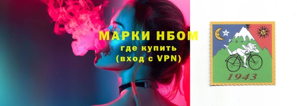 твердый Вязьма