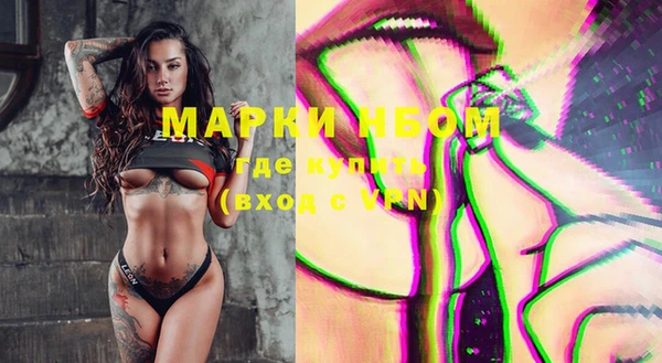 прущая мука Вяземский