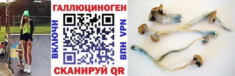 Галлюциногенные грибы мицелий  hydra ссылка  Кушва 